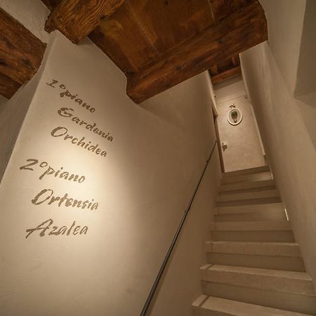 Dimora Corteinfiore Trani Esterno foto